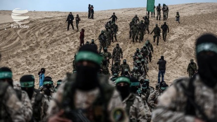 卡桑旅在加沙地带举行军演