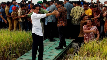 Mengikuti Kunjungan 2 Hari Jokowi ke Jawa Timur