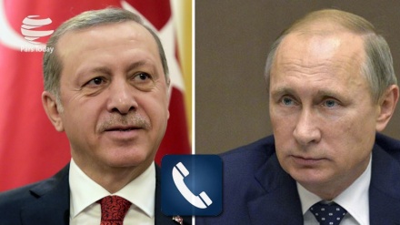 普京与埃尔多安通电话