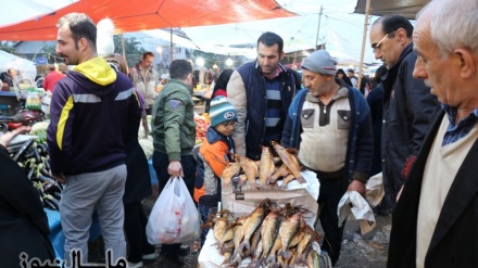 Masali şanbo ruji vıjor