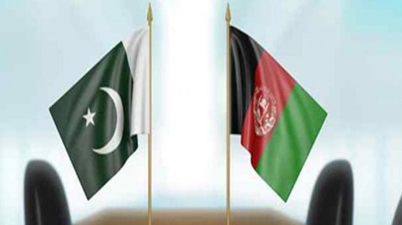  توافق افغانستان و پاکستان در تدوین برنامه صلح