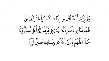 Sura ya Faat'ir, aya ya 45 (Darsa ya 787)