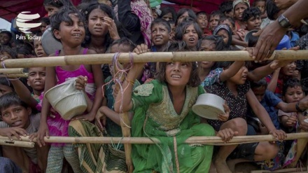 মিয়ানমারে রোহিঙ্গাদের বিরুদ্ধে ঘৃণা ছড়িয়েছে ফেইসবুক: জাতিসংঘ