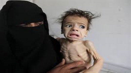هشدار شورای امنیت سازمان ملل از اوضاع انسانی در یمن 