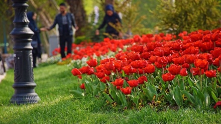 تاریخچه پارک ملت مشهد - یکی از مکان های تفریحی مشهد