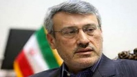بعیدی‌نژاد: ایران از آمریکا به علت نقض برجام شکایت می‌کند 