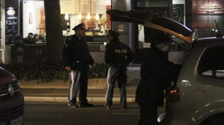 שני אירועי דקירה בעיר וינה