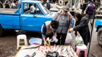 Pasar Ikan di Iran