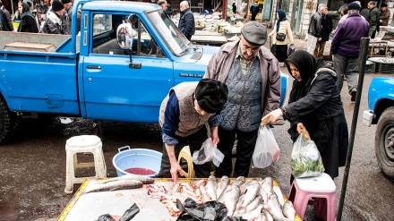 Pasar Ikan di Iran