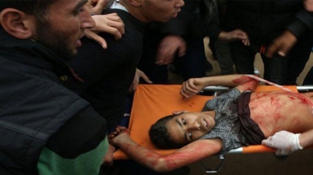 パレスチナ難民の祖国帰還に関するデモが襲撃を受け、１６人殉教