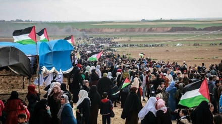Palestinos em Gaza desafiam tanques israelenses, franco-atiradores na 