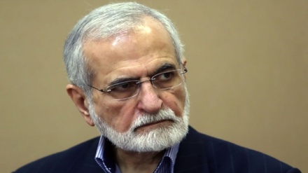 イラン外交戦略評議会議長、「アフガニスタンの過激主義の拡大は深刻な問題だ」