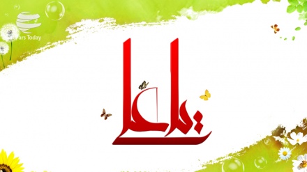 Urime për ditëlindjen e imamit të parë të shiitëve të botës