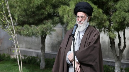 mertebesi belent ýolbaşçy nahal oturtdylar