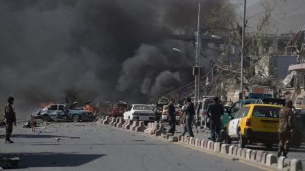 印度政府恐怖分子在阿富汗和伊拉克采取的举措提出谴责