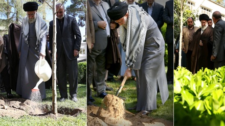 Kiongozi Muadhamu wa Mapinduzi ya Kiislamu asisitiza umuhimu wa kupanda miti