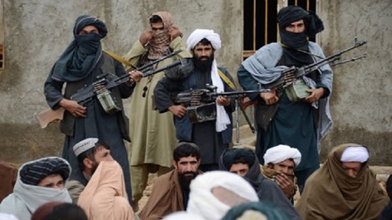 کشته شدن 11 فرمانده طالبان در ولایت فراه‎