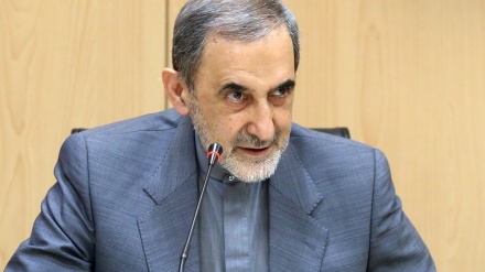 Velayati: Verteidigungsfrage Irans geht kein Land etwas an