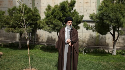 رهبر معظم انقلاب اسلامی : مسئولان مانع از بین رفتن درختان و باغات موجود در شهرها شوند