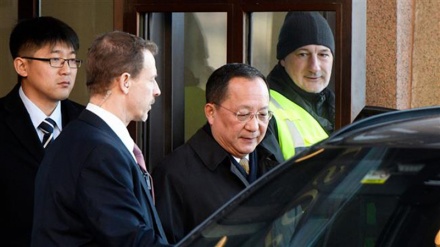 North Korea’s foreign minister meets Swedish prime minister