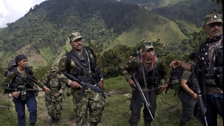 FARC: Colômbia aprovou lei de amnistia para ex-guerrilheiros