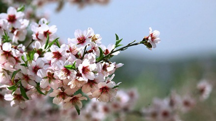 Quand le printemps s'installe!