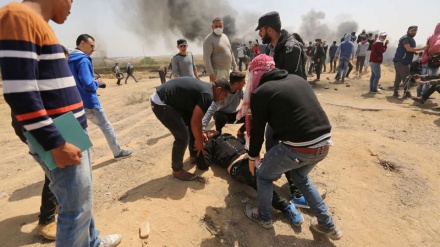 Plagosen 8 palestinezë të tjerë nga forcat sioniste