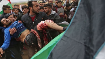 Pawai Jumat, Delapan Orang Palestina Gugur