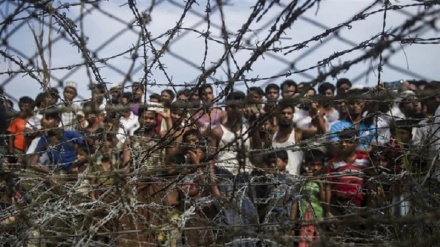 HRW calls for Security Council resolution on Rohingya crisis