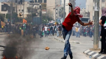 下周五是巴勒斯坦人民加强反抗侵略者之日