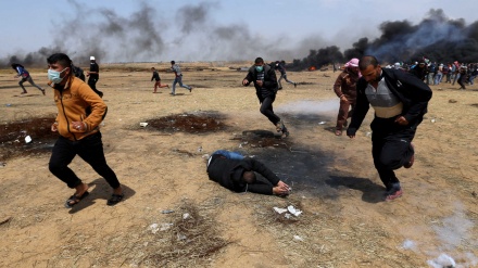 Israel mata 3 manifestantes e fere centenas em Gaza (+fotos)