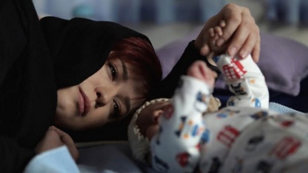 キプロス国際映画祭で、イラン人女優が最優秀女優賞を受賞