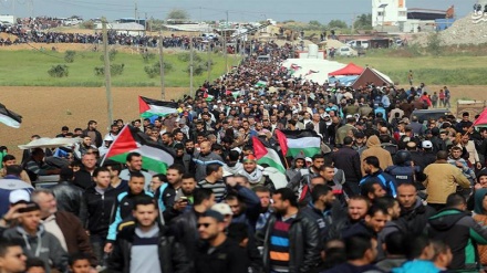 Ğəzzə tanqədə Fələstinıjon yolə aksiyaon dəvom; 2 nəfər şəhid iyən 14 nəfər zəxmin bıən.