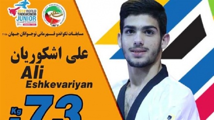 Iran's medal tally at World Taekwondo Junior Championships lifted to eight