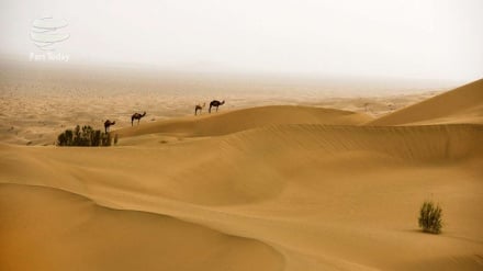 Video: Desierto de Lut de Irán