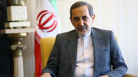 Velayeti: Filistinli bilim insanlarına saldırı, Siyonist rejimin dağılmasına yol açacak