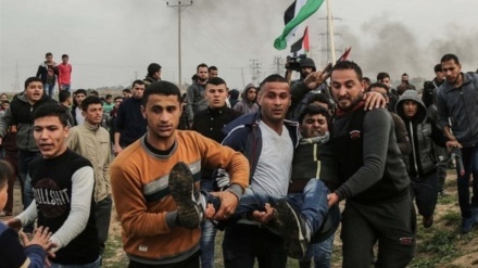 犹太复国主义分子近日对加沙地带的巴勒斯坦人民犯下令人发指的罪行