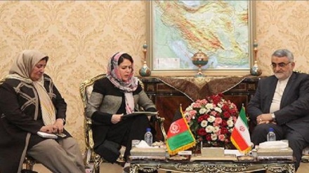 بروجردی: ارائه خدمات به حدود سه میلیون افغان، از افتخارات ایران است 