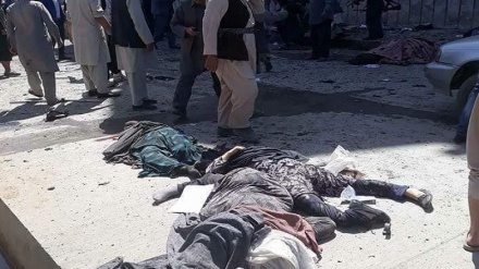 喀布尔恐怖袭击死者人数上升