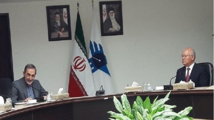 韦拉亚提：利用伊朗与阿富汗科学条件有助于伊阿两国政府进一步相互了解