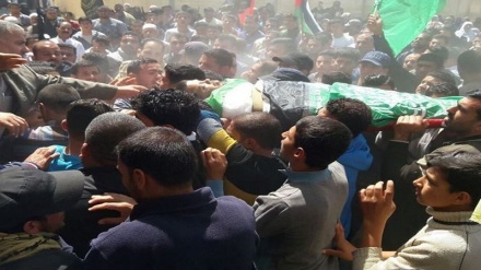 自特朗普做出反古都斯的决定后共有94名巴勒斯坦人牺牲