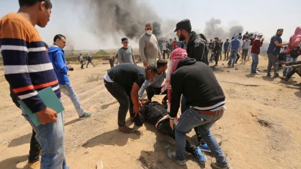 İşgalci İsrail güçlerinin saldırısında onlarca Filistinli şehit oldu ve yaralandı 