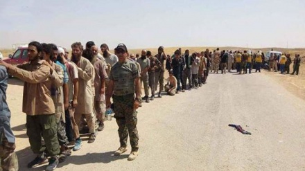 达伊沙恐怖分子向叙利亚军队投降