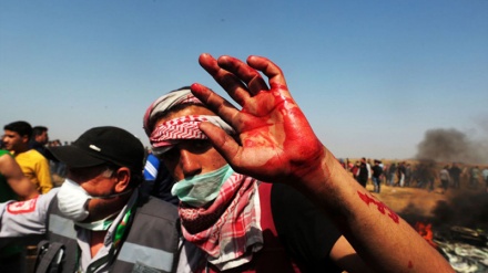 Jumat Depan, Warga Palestina akan Bakar Bendera Israel