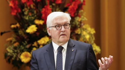 Steinmeier: Jerman Alami Tahun yang Sulit