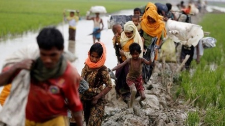 Muslim states seek global pressure on Myanmar over Rohingya crisis