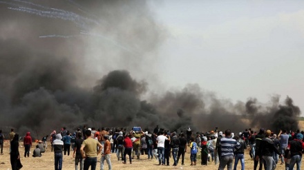 Ğəzzədə pencminə etırozinə cımə