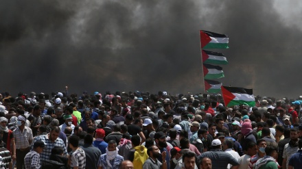 Demonstrationen der Palästinenser am Nakba-Tag