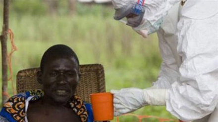Officials meet to examine intl. risks of Ebola in Congo