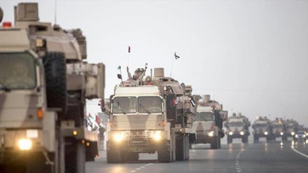 Warga Socotra Yaman Protes Kehadiran Ilegal Pasukan UEA